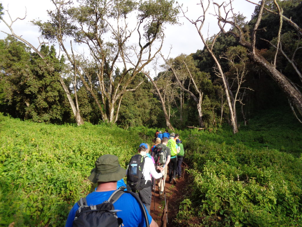 What is the most Beautiful route up Mount Kilimanjaro