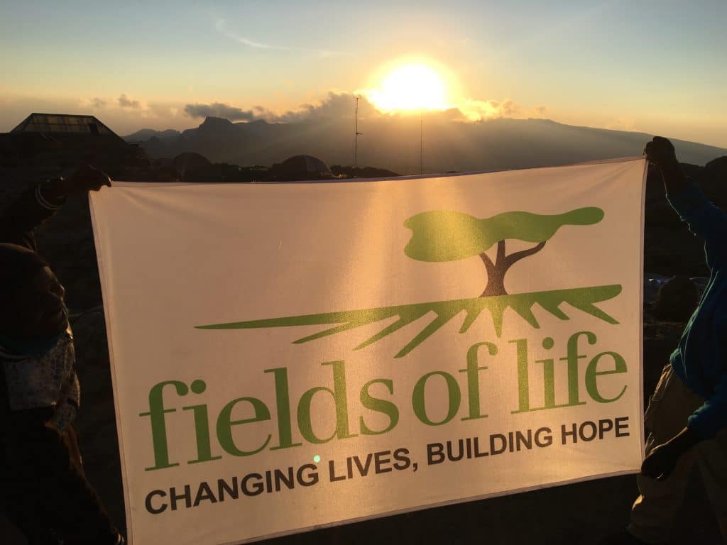 Fields of Life on Kilimanjaro