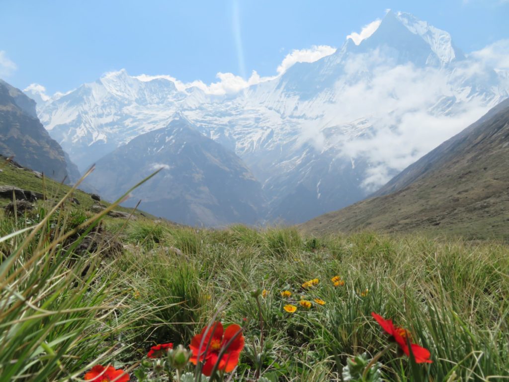 he route to Annapurna Base Camp