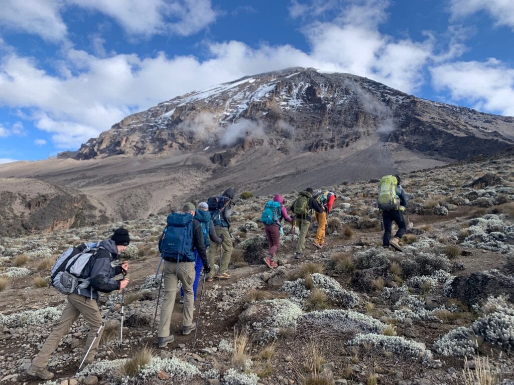 Hiking up Kilimanjaro