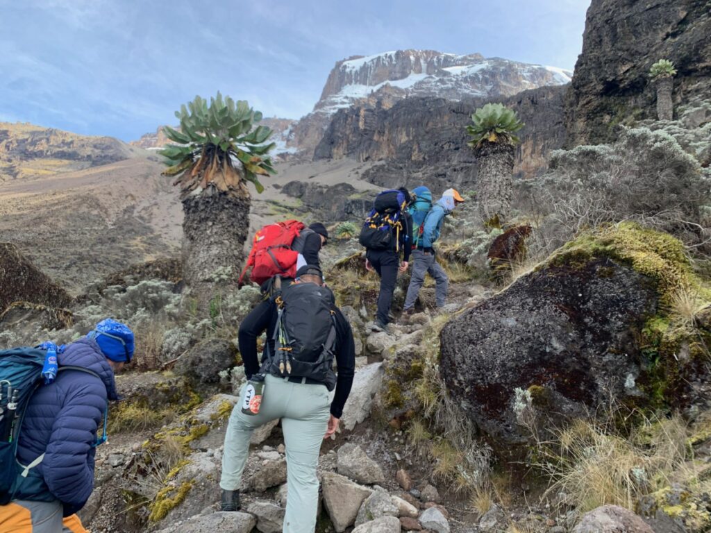 The Barranco wall Kilimanjaro