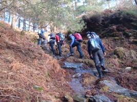 Training in Glendalough