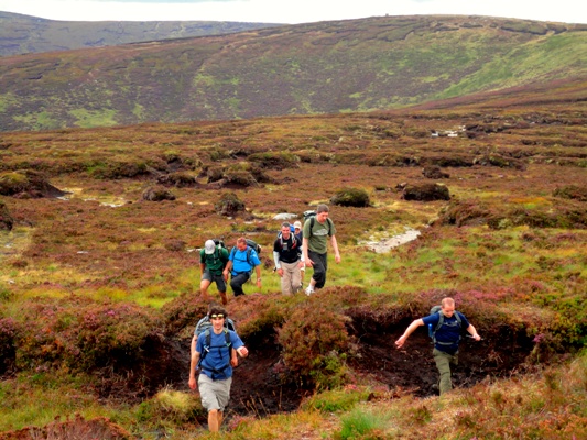 Training in Ireland Our Services